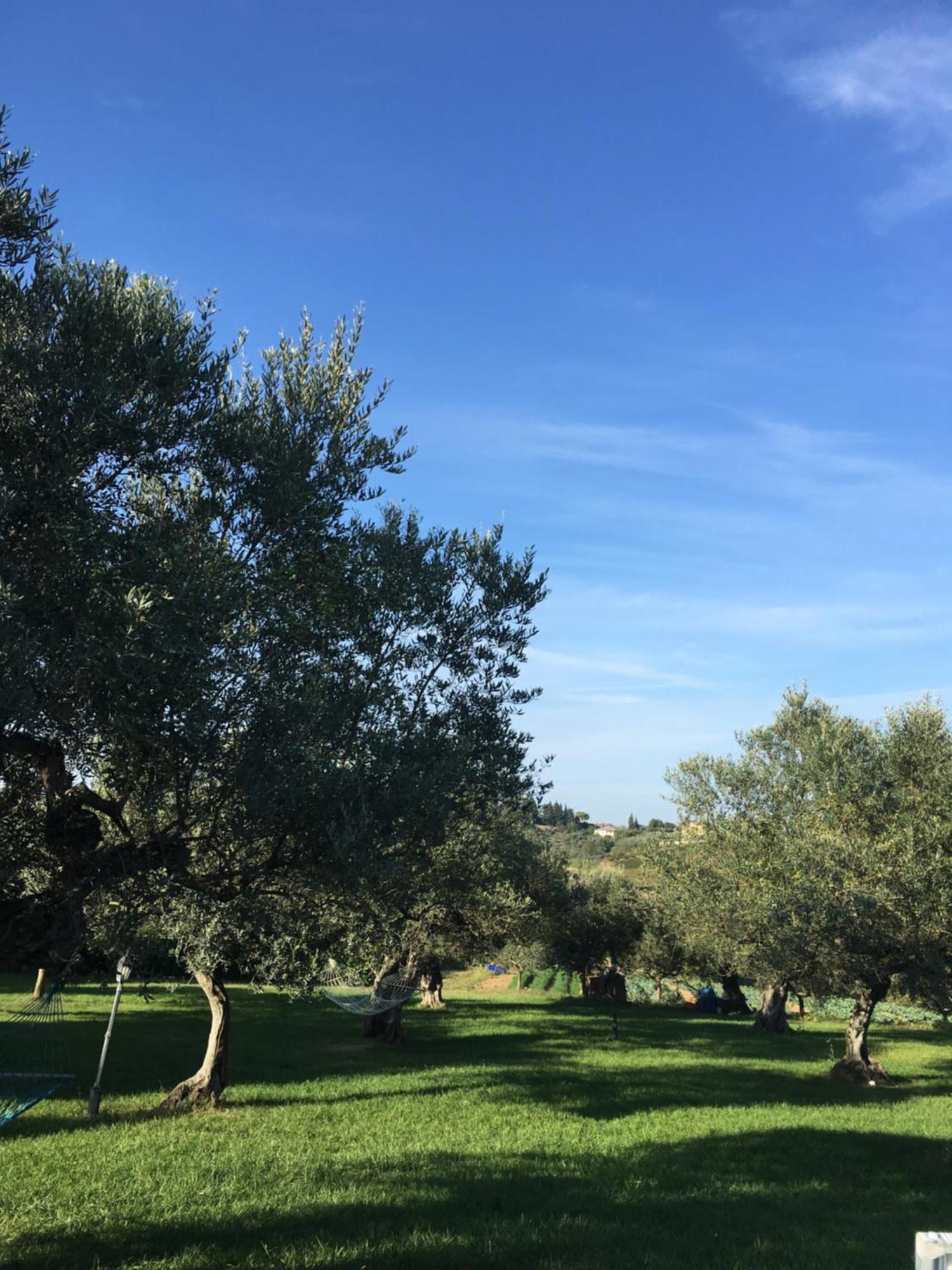 Agriturismo La Rustica Pianella Kültér fotó